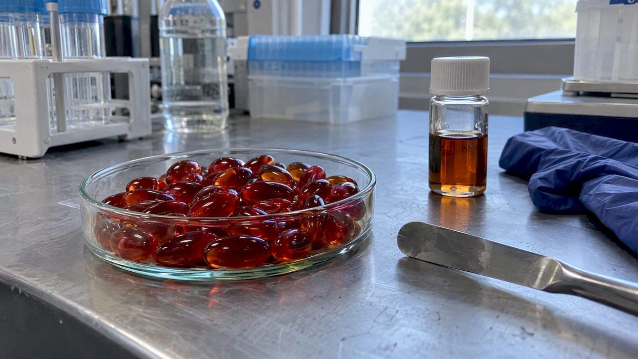 Astaxanthin Trials: Benefits at 12 mg/day for Skin and Lipids